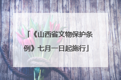 《山西省文物保护条例》七月一日起施行