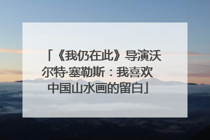《我仍在此》导演沃尔特·塞勒斯：我喜欢中国山水画的留白