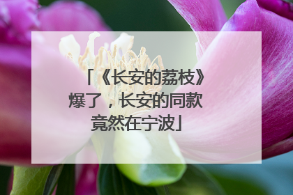 《长安的荔枝》爆了，长安的同款竟然在宁波