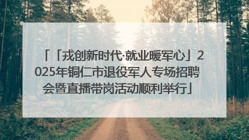 「戎创新时代·就业暖军心」2025年铜仁市退役军人专场招聘会暨直播带岗活动顺利举行