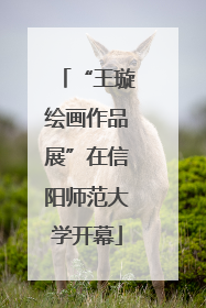 “王璇绘画作品展”在信阳师范大学开幕