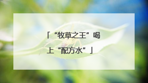“牧草之王”喝上“配方水”