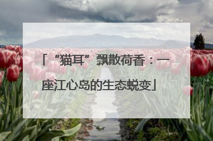 “猫耳”飘散荷香：一座江心岛的生态蜕变