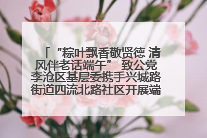 “粽叶飘香敬贤德 清风伴老话端午” 致公党李沧区基层委携手兴城路街道四流北路社区开展端午节主题活动