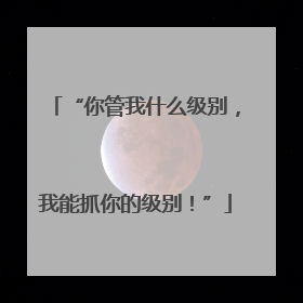 “你管我什么级别，我能抓你的级别！”