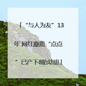 “与人为友”13年 网红麋鹿“点点”已产下8胎幼崽