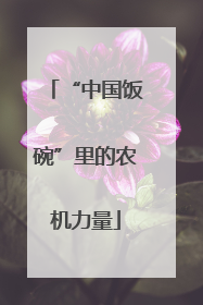 “中国饭碗”里的农机力量