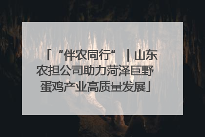 “伴农同行”｜山东农担公司助力菏泽巨野蛋鸡产业高质量发展