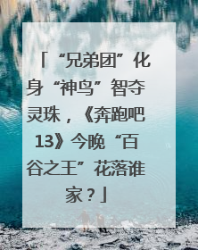 “兄弟团”化身“神鸟”智夺灵珠，《奔跑吧13》今晚“百谷之王”花落谁家？