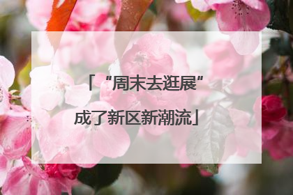 “周末去逛展”成了新区新潮流