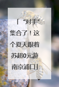 “对手”集合了！这个夏天跟着苏超0元游南京浦口