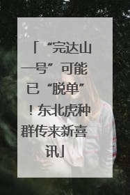 “完达山一号”可能已“脱单”！东北虎种群传来新喜讯
