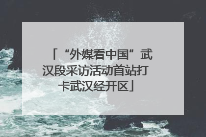 “外媒看中国”武汉段采访活动首站打卡武汉经开区
