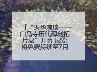 “天华琬琰——白马寺历代碑刻拓片展”开幕 展览将免费持续至7月20日
