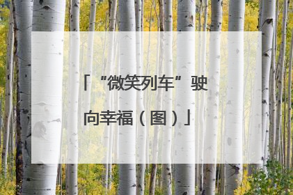 “微笑列车”驶向幸福（图）