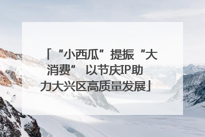“小西瓜”提振“大消费” 以节庆IP助力大兴区高质量发展
