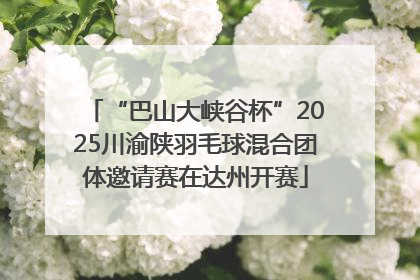 “巴山大峡谷杯”2025川渝陕羽毛球混合团体邀请赛在达州开赛