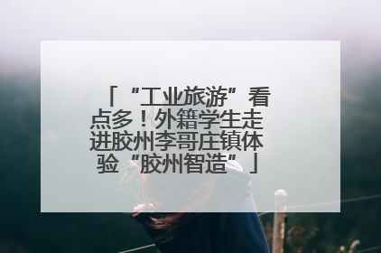 “工业旅游”看点多！外籍学生走进胶州李哥庄镇体验“胶州智造”
