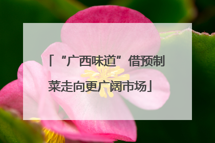 “广西味道”借预制菜走向更广阔市场