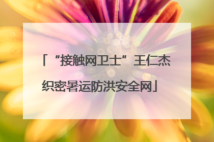 “接触网卫士”王仁杰织密暑运防洪安全网