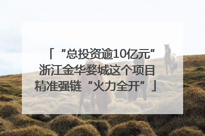 “总投资逾10亿元” 浙江金华婺城这个项目精准强链“火力全开”
