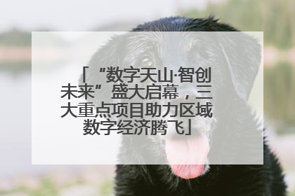 “数字天山·智创未来”盛大启幕，三大重点项目助力区域数字经济腾飞