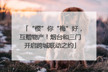 “樱”你“梅”好，互赠物产！烟台和三门开启跨城联动之约