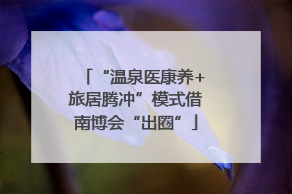 “温泉医康养+旅居腾冲”模式借南博会“出圈”