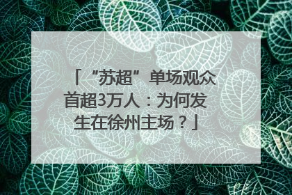 “苏超”单场观众首超3万人：为何发生在徐州主场？