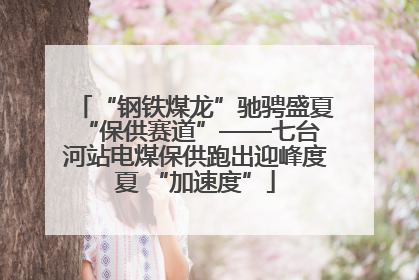 “钢铁煤龙”驰骋盛夏 “保供赛道”——七台河站电煤保供跑出迎峰度夏 “加速度”