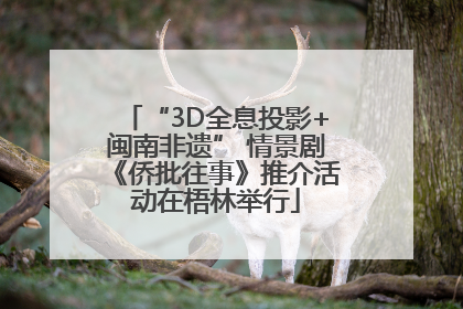 “3D全息投影+闽南非遗” 情景剧《侨批往事》推介活动在梧林举行