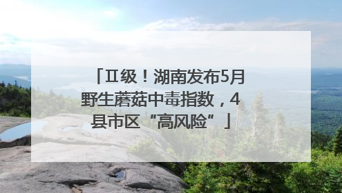 Ⅱ级！湖南发布5月野生蘑菇中毒指数，4县市区“高风险”