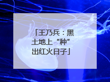 王乃兵：黑土地上“种”出红火日子