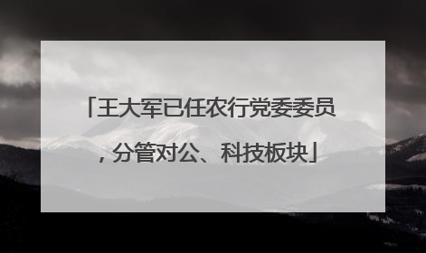 王大军已任农行党委委员，分管对公、科技板块