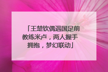 王楚钦偶遇国足前教练米卢，两人握手拥抱，梦幻联动
