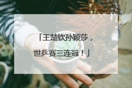 王楚钦孙颖莎，世乒赛三连冠！