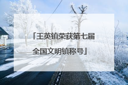王英镇荣获第七届全国文明镇称号