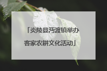 炎陵县沔渡镇举办客家农耕文化活动