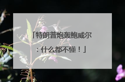 特朗普炮轰鲍威尔：什么都不懂！