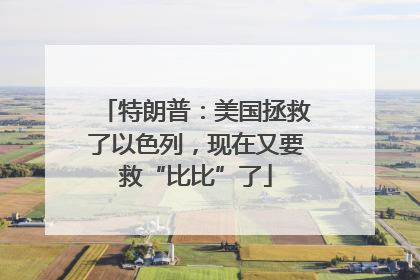 特朗普：美国拯救了以色列，现在又要救“比比”了