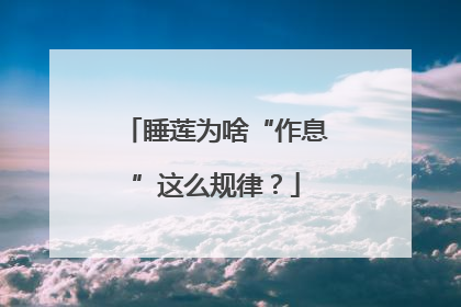 睡莲为啥“作息”这么规律？