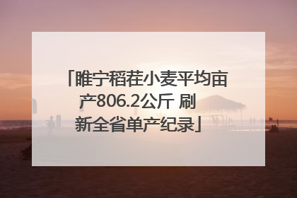 睢宁稻茬小麦平均亩产806.2公斤 刷新全省单产纪录