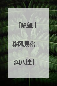 瞭望丨移风易俗润八桂