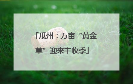瓜州：万亩“黄金草”迎来丰收季