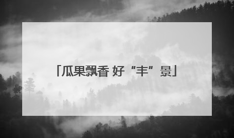 瓜果飘香 好“丰”景