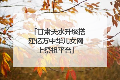 甘肃天水升级搭建亿万中华儿女网上祭祖平台