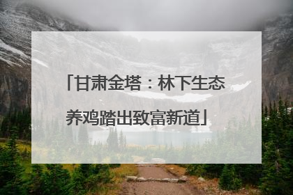 甘肃金塔：林下生态养鸡踏出致富新道