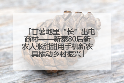 甘薯地里“长”出电商村——新泰80后新农人张甜甜用手机新农具撬动乡村振兴