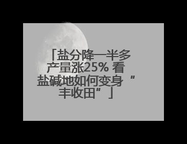 盐分降一半多 产量涨25% 看盐碱地如何变身“丰收田”