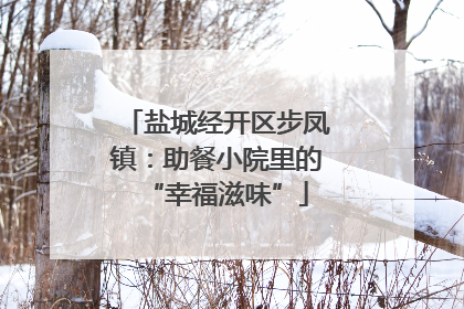 盐城经开区步凤镇：助餐小院里的“幸福滋味”